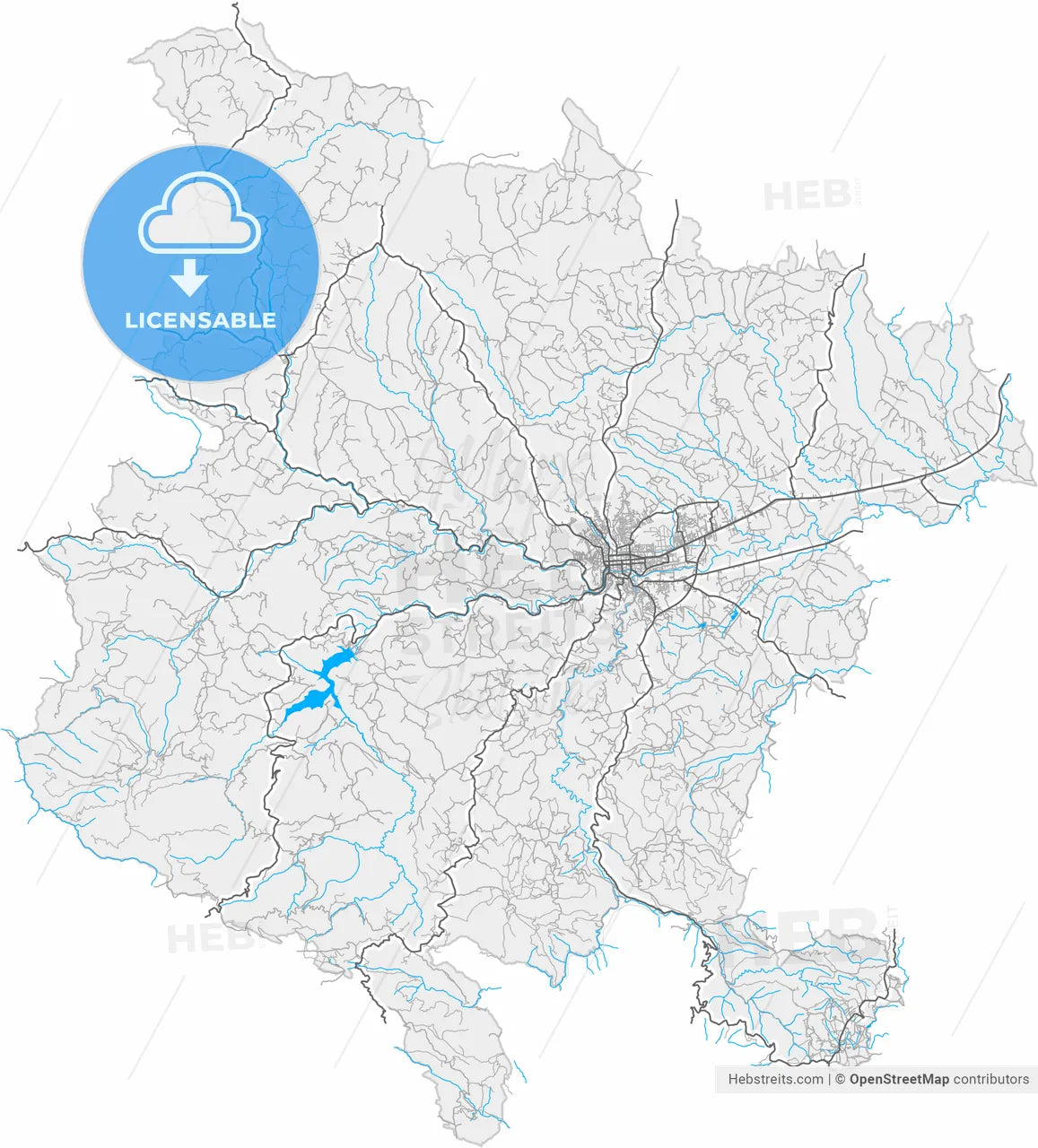 Valjevo, Kolubara, Serbia, high resolution vector map - Instant download PDF and JPG