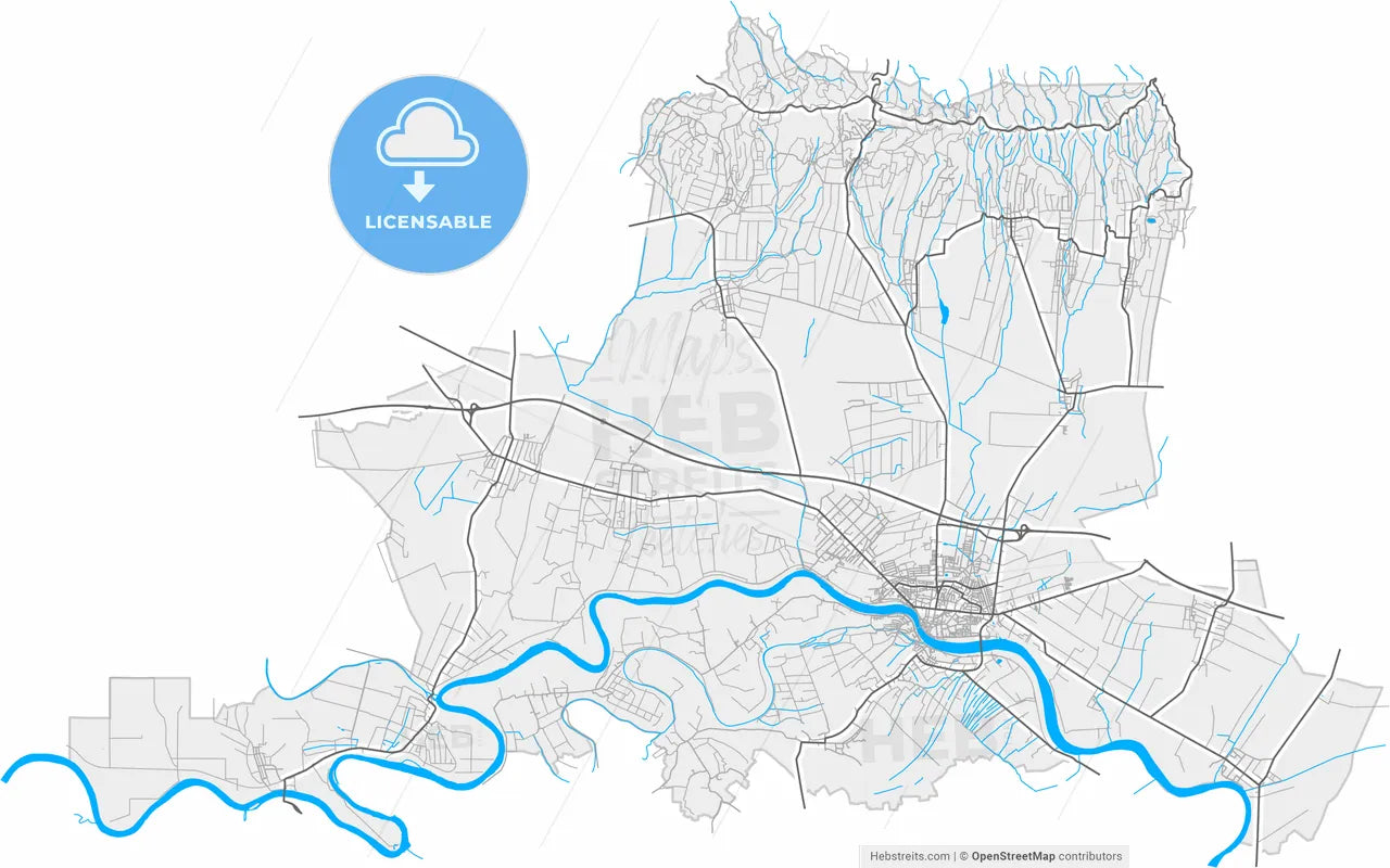 Sremska Mitrovica, Srem, Serbia, high resolution vector map - Instant download PDF and JPG
