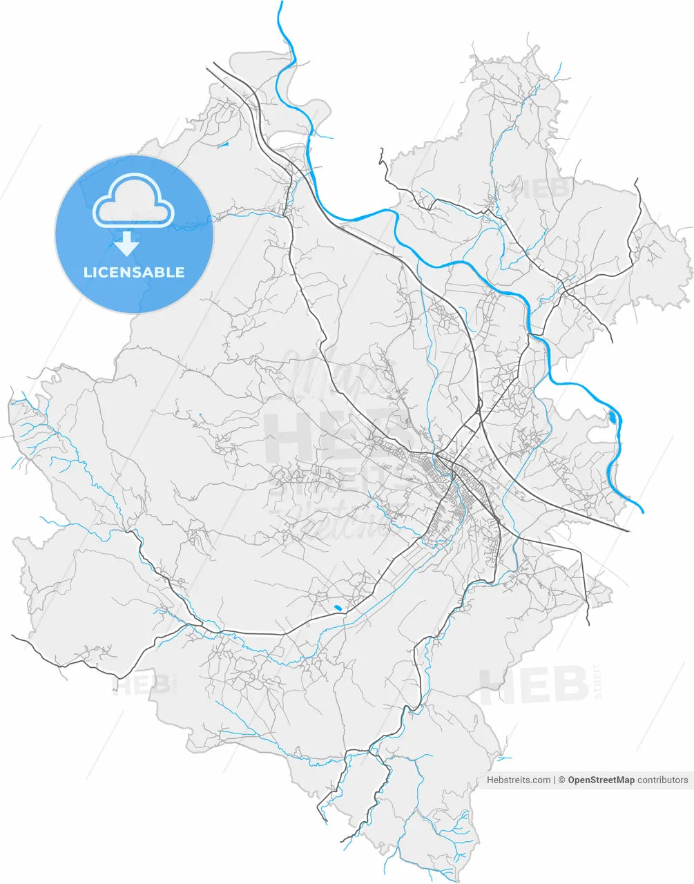 Jagodina, Pomoravlje, Serbia, high resolution vector map - Instant download PDF and JPG