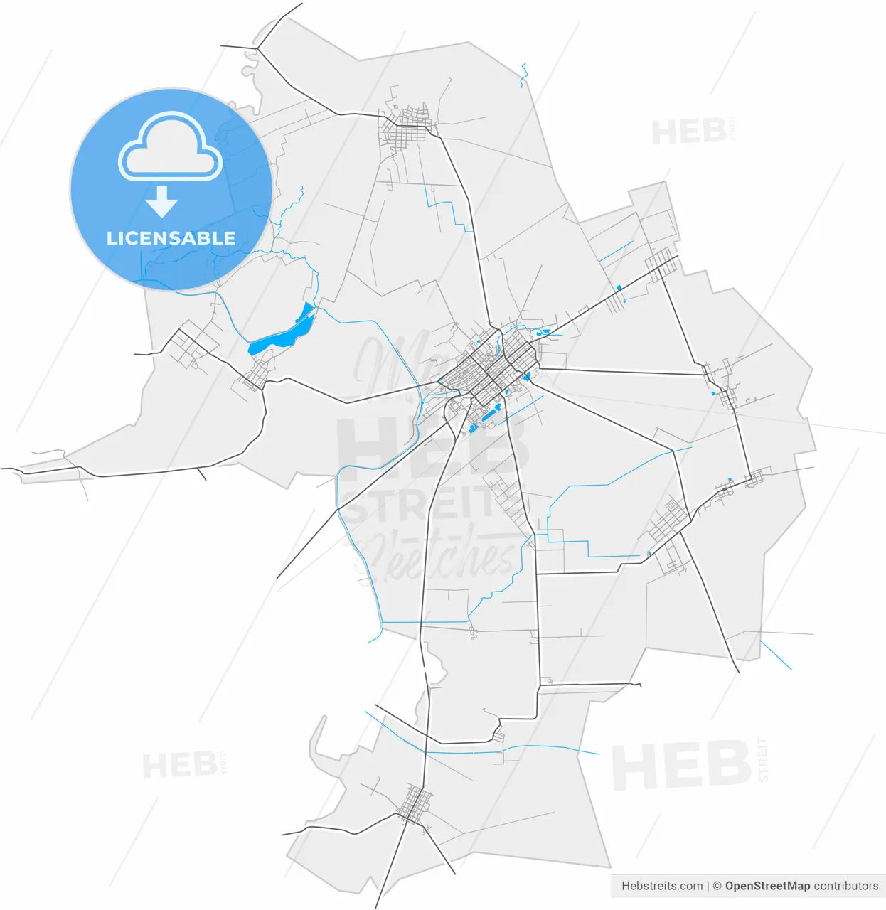 Kikinda, North Banat, Serbia, high resolution vector map - Instant download PDF and JPG