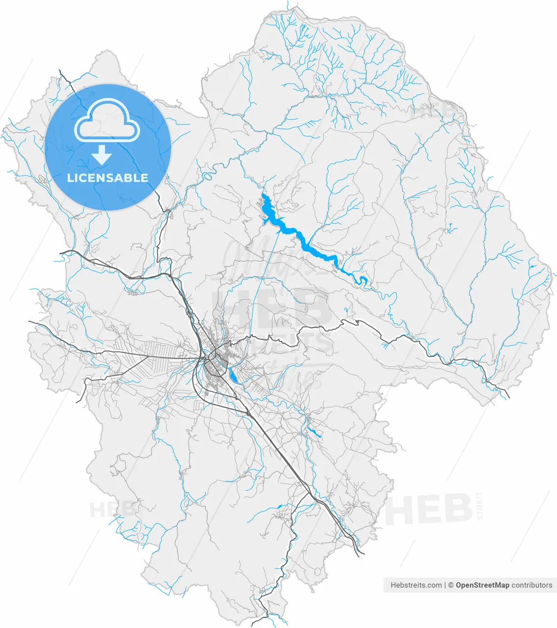 Pirot, Pirot, Serbia, high resolution vector map - Instant download PDF and JPG
