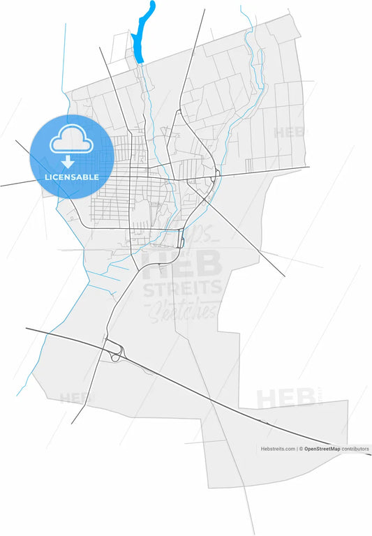 Ruma, Srem, Serbia, high resolution vector map - Instant download PDF and JPG