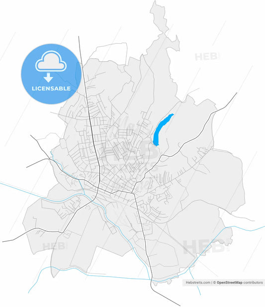 Smederevska Palanka, Podunavlje, Serbia, high resolution vector map - Instant download PDF and JPG