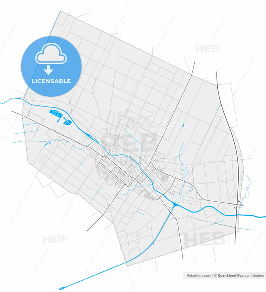 Vrbas, South Bačka, Serbia, high resolution vector map - Instant download PDF and JPG