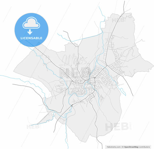 Knjaževac, Zaječar, Serbia, high resolution vector map - Instant download PDF and JPG