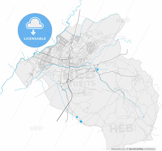 Prievidza, Trenčín Region, Slovakia, high resolution vector map - Instant download PDF and JPG