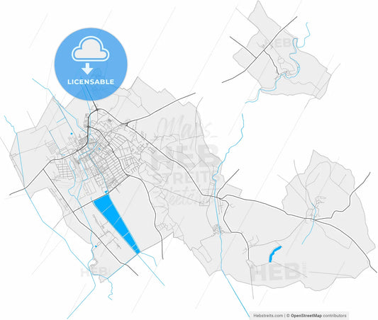 Levice, Nitra Region, Slovakia, high resolution vector map - Instant download PDF and JPG