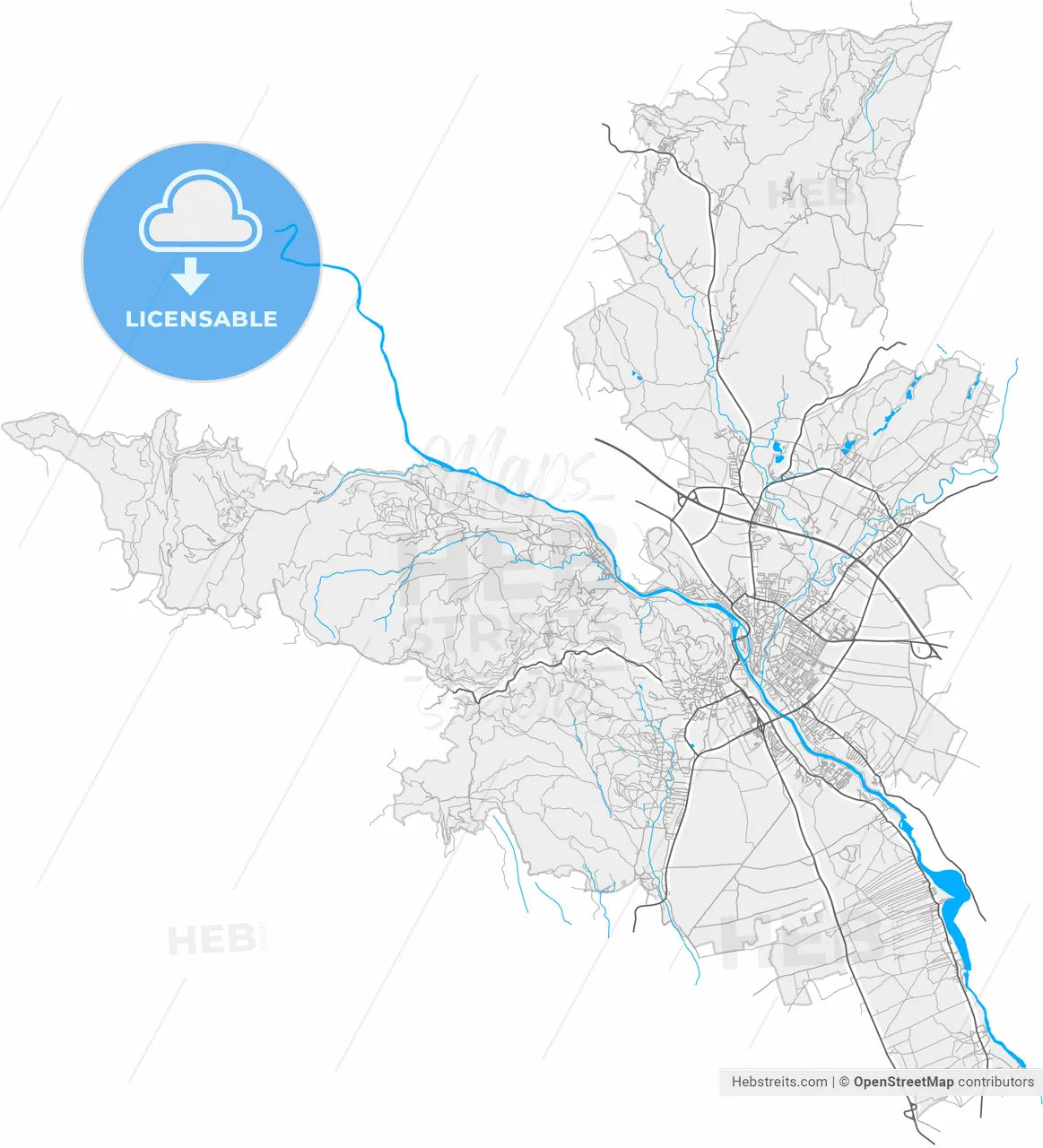 Kranj, Slovenia, high resolution vector map - Instant download PDF and JPG
