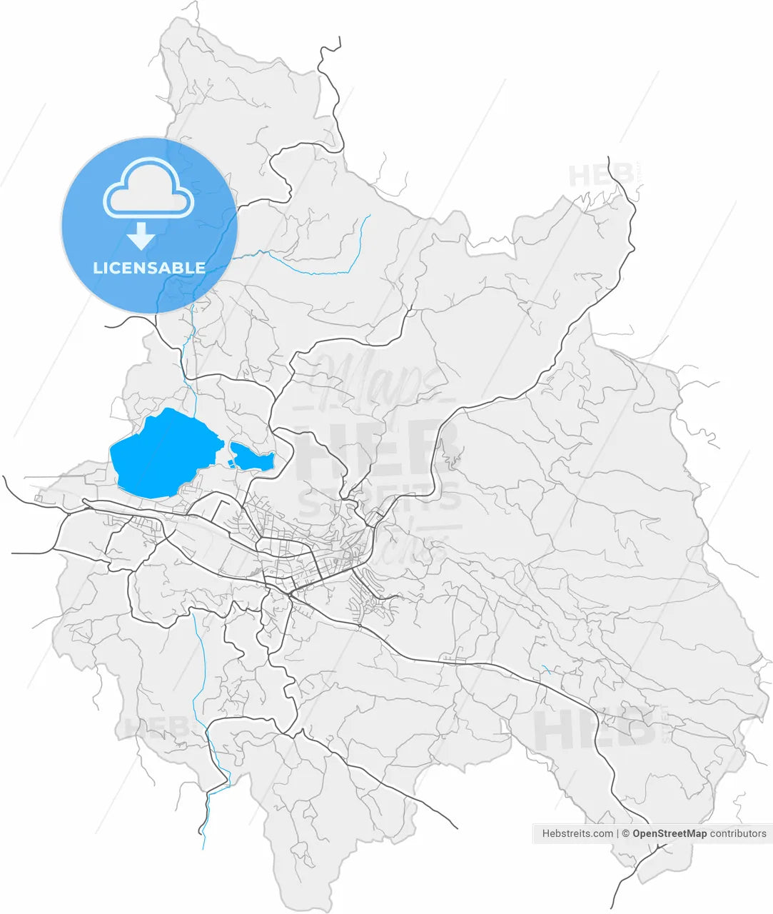 Velenje, Slovenia, high resolution vector map - Instant download PDF and JPG