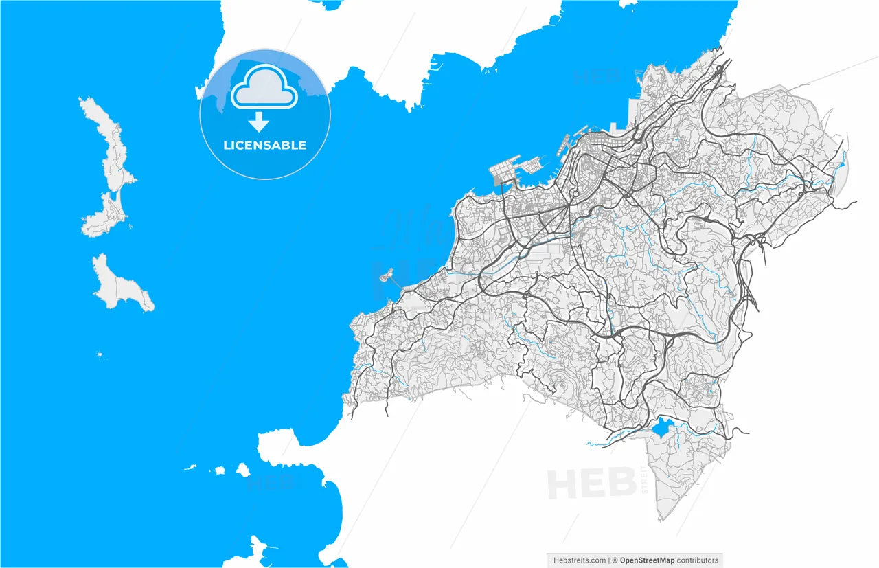 Vigo, Pontevedra, Spain, high resolution vector map - Instant download PDF and JPG