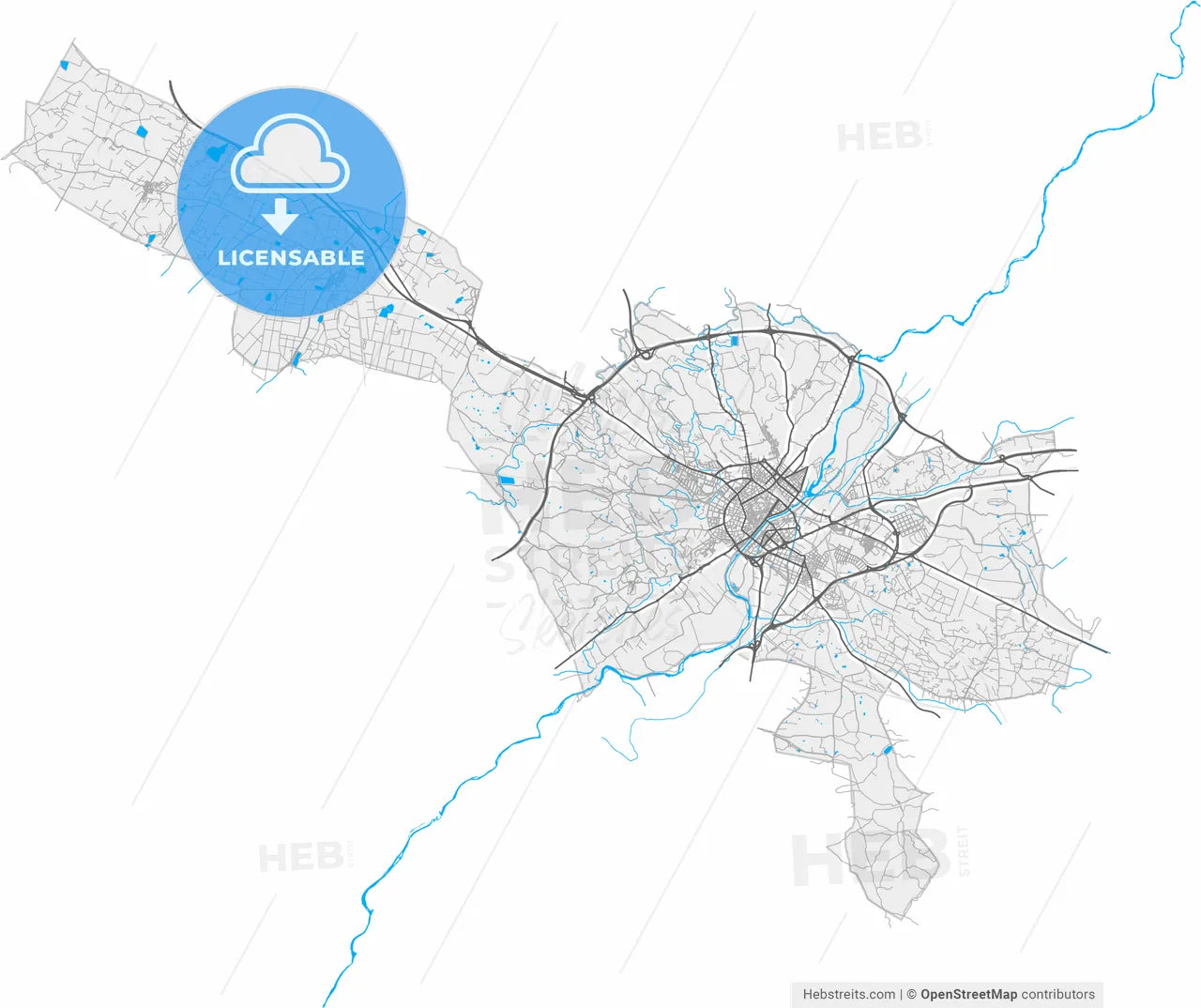 Lleida, Spain, high resolution vector map - Instant download PDF and JPG