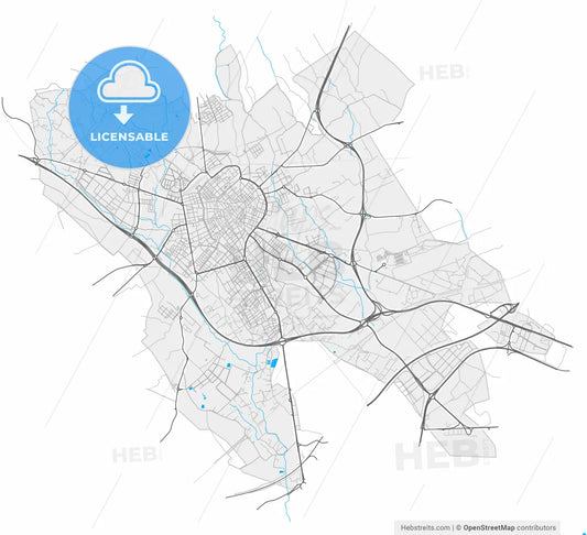 Reus, Tarragona, Spain, high resolution vector map - Instant download PDF and JPG