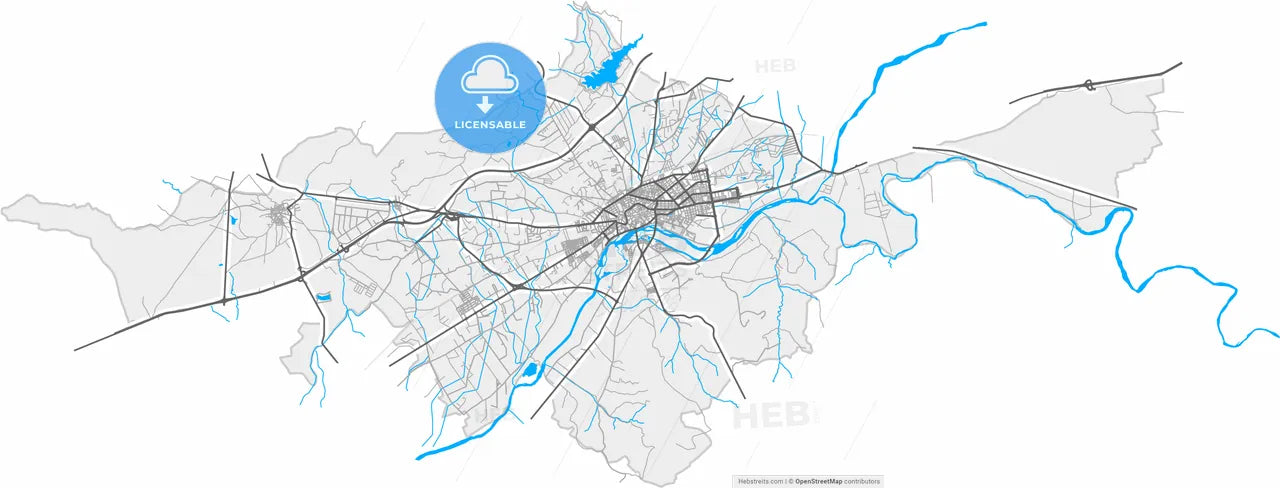 Talavera de la Reina, Toledo, Spain, high resolution vector map - Instant download PDF and JPG