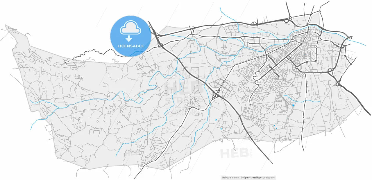 Torrent, Valencia, Spain, high resolution vector map - Instant download PDF and JPG