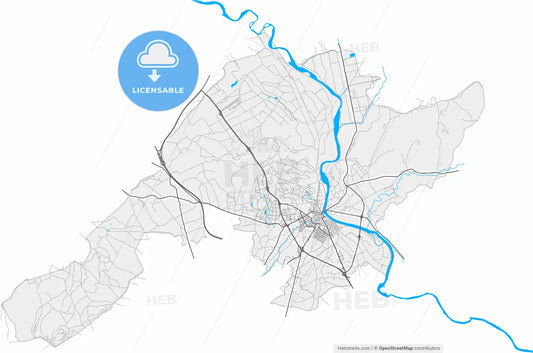 Tudela, Navarre, Spain, high resolution vector map - Instant download PDF and JPG