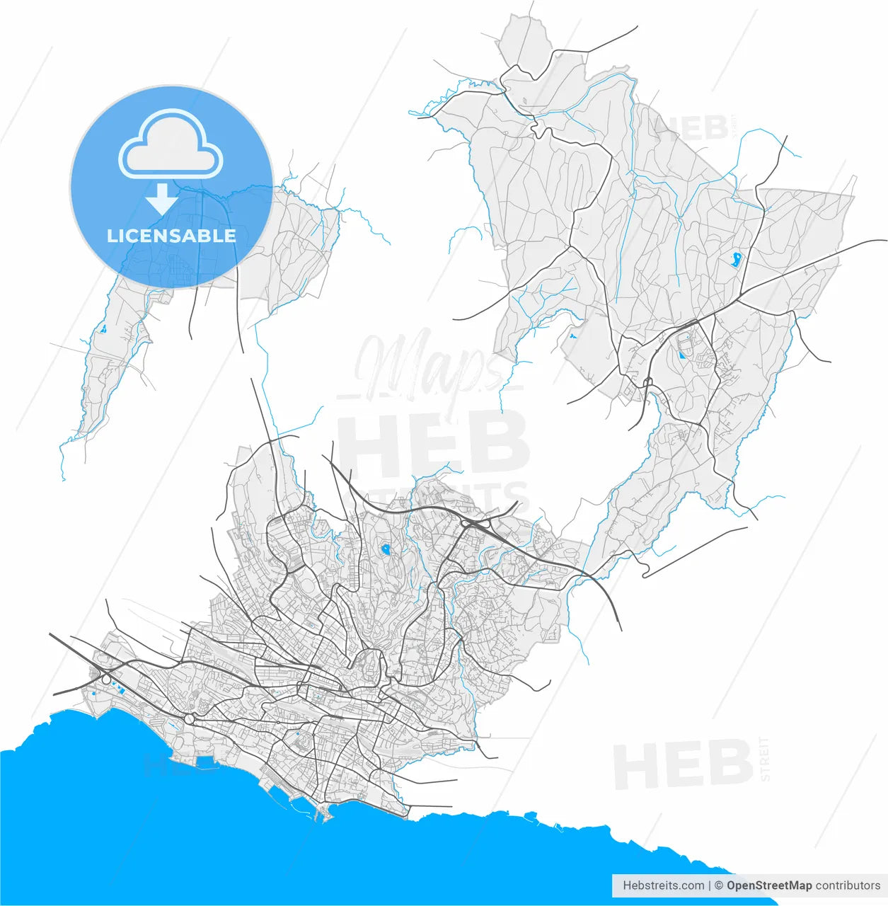 Lausanne, Switzerland, high resolution vector map - Instant download PDF and JPG