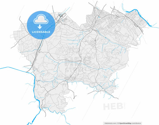 Köniz, Switzerland, high resolution vector map - Instant download PDF and JPG