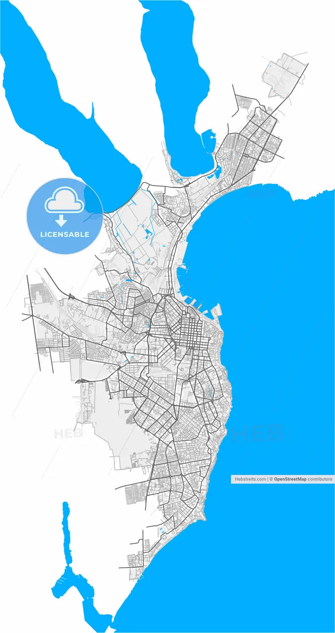 Odessa, Odessa Oblast, Ukraine, high resolution vector map - Instant download PDF and JPG