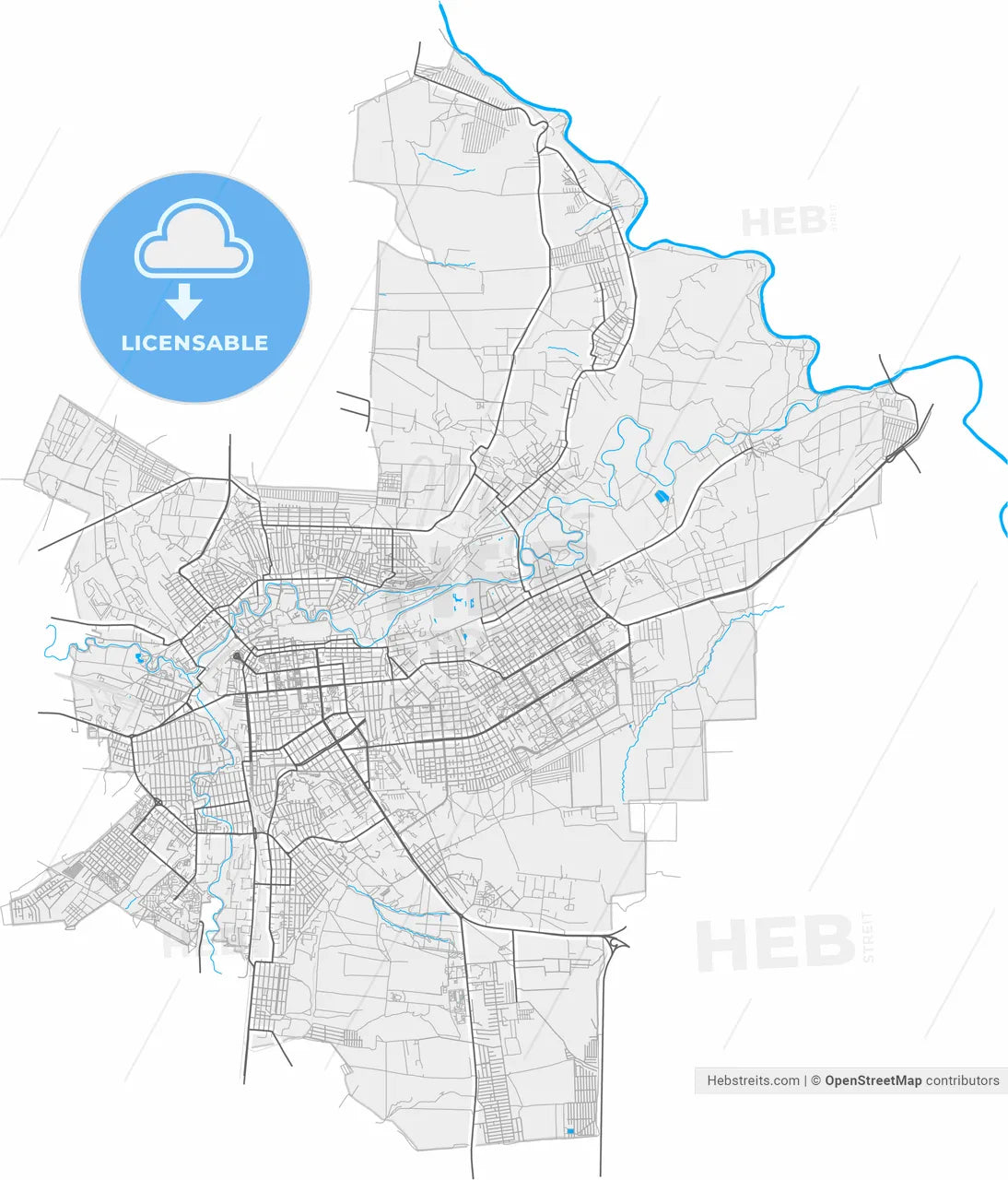 Luhansk, Luhansk Oblast, Ukraine, high resolution vector map - Instant download PDF and JPG