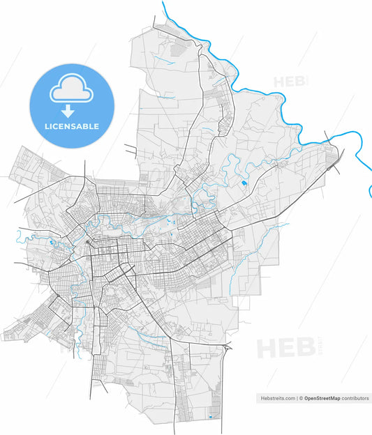 Luhansk, Luhansk Oblast, Ukraine, high resolution vector map - Instant download PDF and JPG