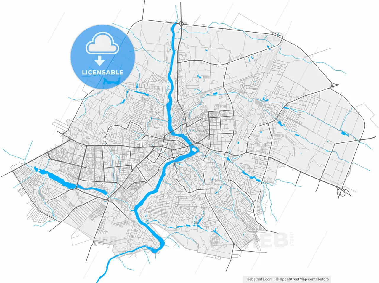Vinnytsia, Vinnytsia Oblast, Ukraine, high resolution vector map - Instant download PDF and JPG