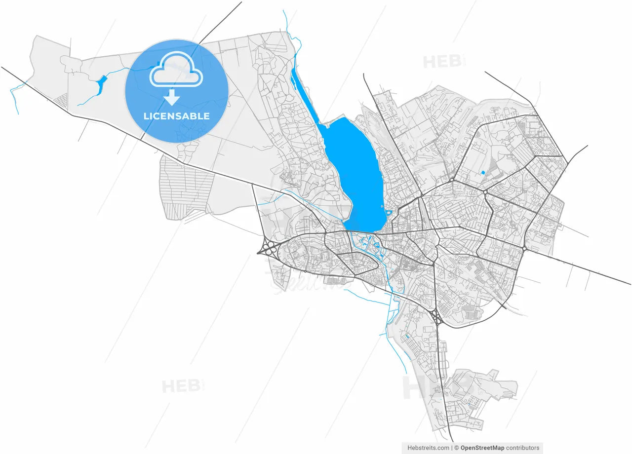 Ternopil, Ternopil Oblast, Ukraine, high resolution vector map - Instant download PDF and JPG