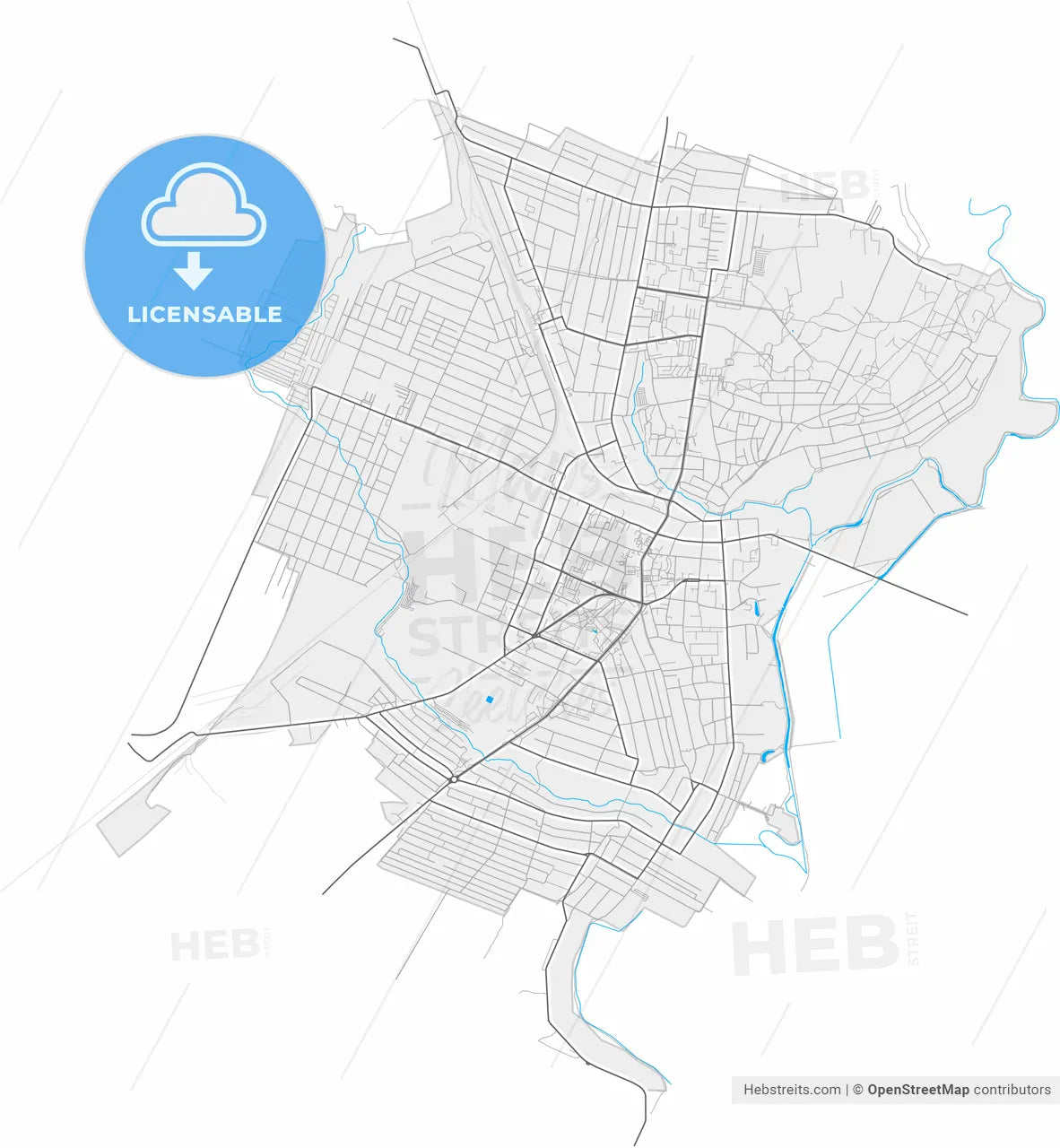 Melitopol, Zaporizhia Oblast, Ukraine, high resolution vector map - Instant download PDF and JPG
