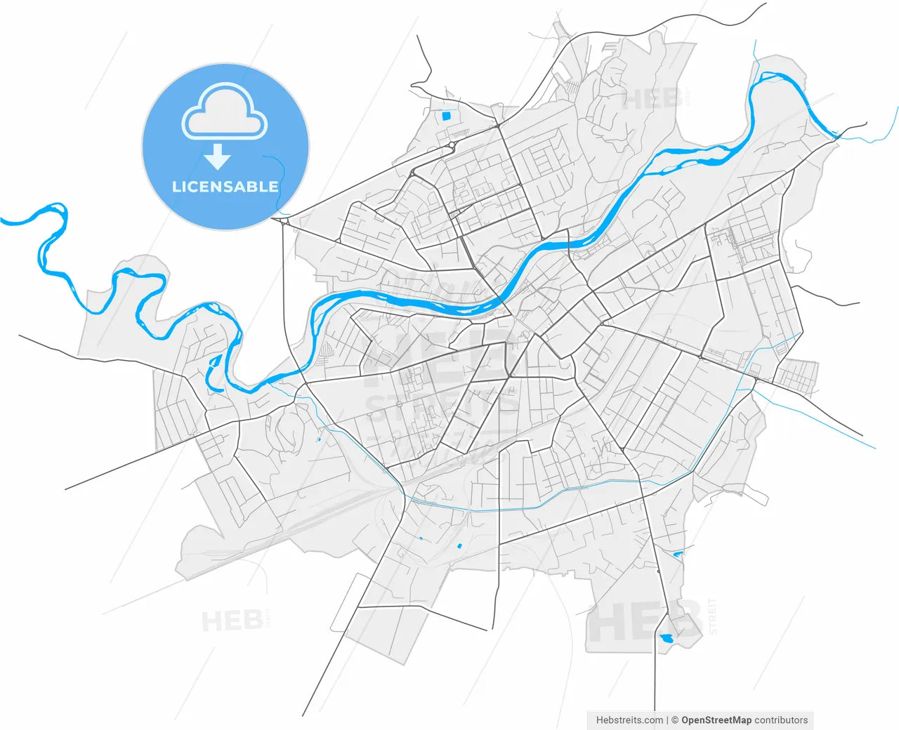 Mukachevo, Zakarpattia Oblast, Ukraine, high resolution vector map - Instant download PDF and JPG