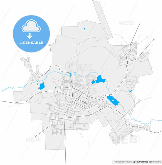 Shostka, Sumy Oblast, Ukraine, high resolution vector map - Instant download PDF and JPG