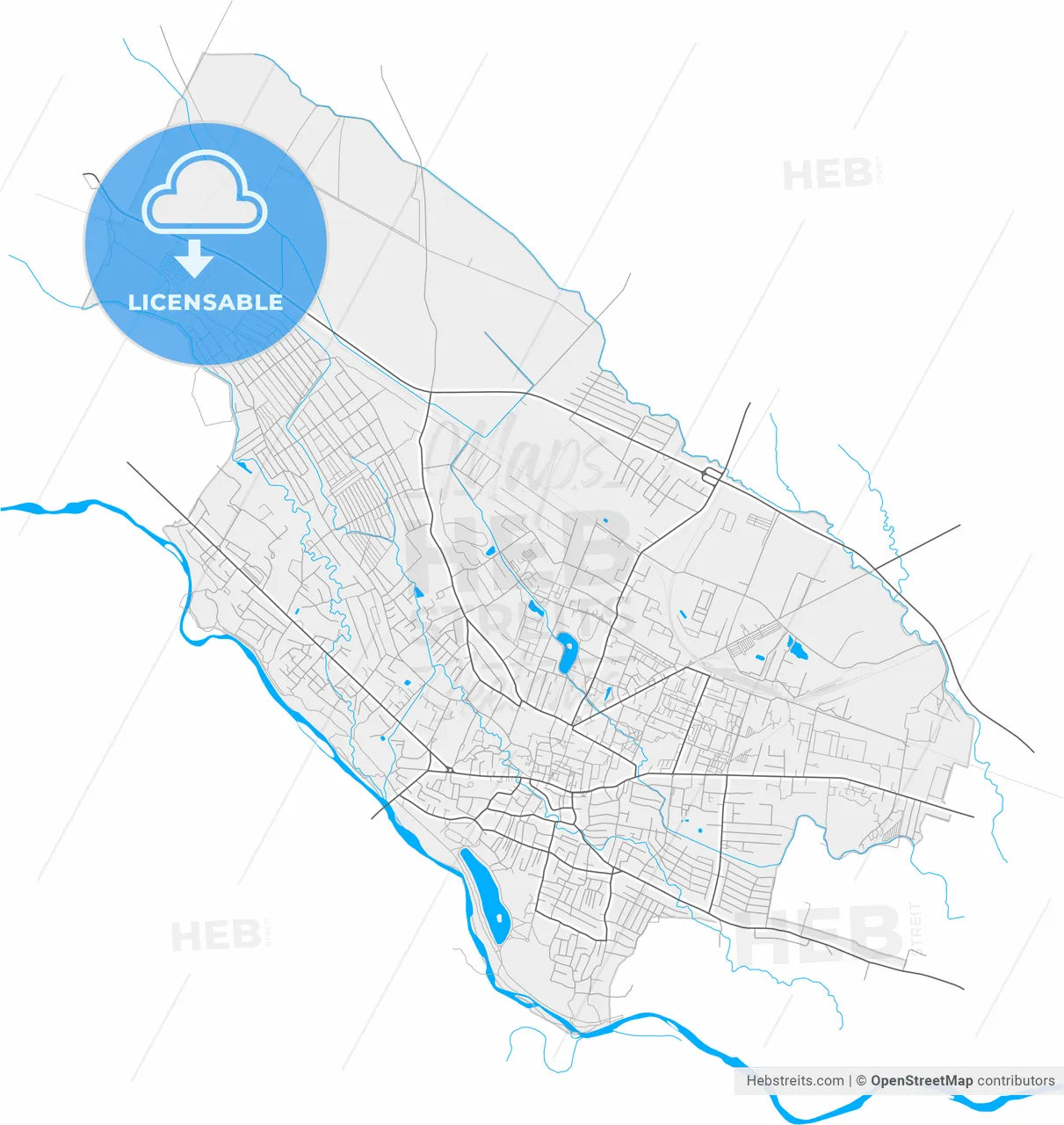 Kolomyia, Ivano-Frankivsk Oblast, Ukraine, high resolution vector map - Instant download PDF and JPG