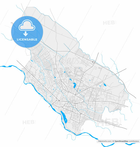Kolomyia, Ivano-Frankivsk Oblast, Ukraine, high resolution vector map - Instant download PDF and JPG