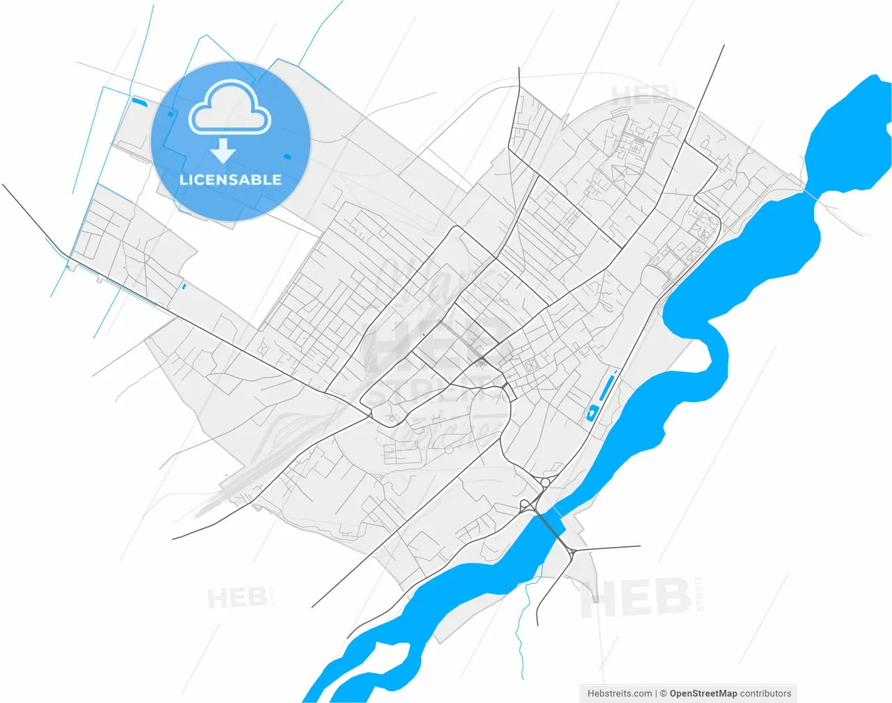 Stryi, Lviv Oblast, Ukraine, high resolution vector map - Instant download PDF and JPG