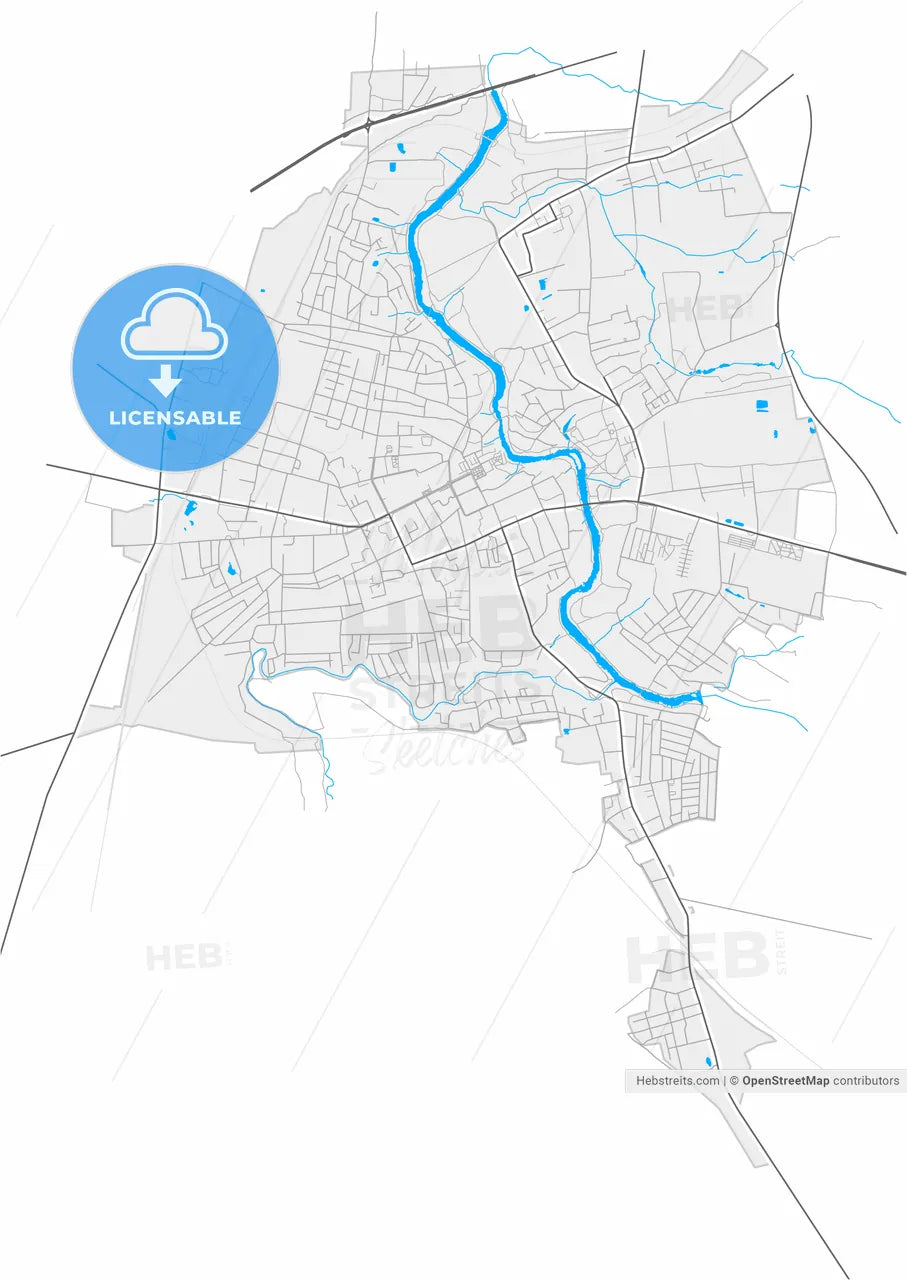 Novohrad-Volynskyi, Zhytomyr Oblast, Ukraine, high resolution vector map - Instant download PDF and JPG