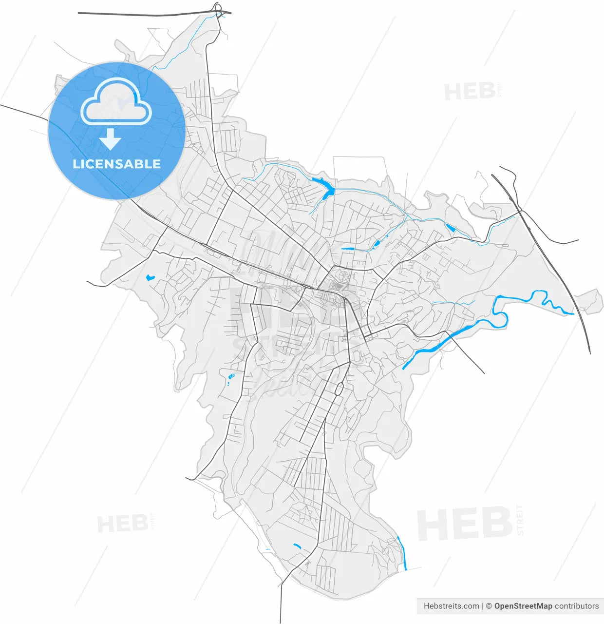 Lubny, Poltava Oblast, Ukraine, high resolution vector map - Instant download PDF and JPG