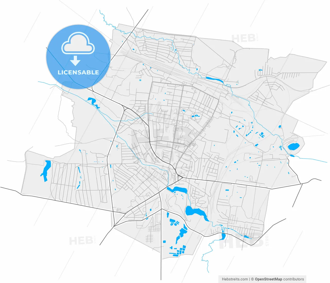 Shepetivka, Khmelnytskyi Oblast, Ukraine, high resolution vector map - Instant download PDF and JPG