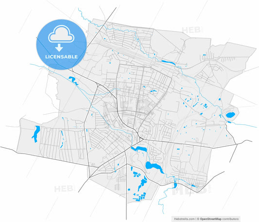 Shepetivka, Khmelnytskyi Oblast, Ukraine, high resolution vector map - Instant download PDF and JPG