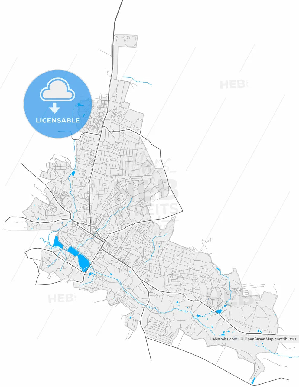 Vasylkiv, Kyiv Oblast, Ukraine, high resolution vector map - Instant download PDF and JPG