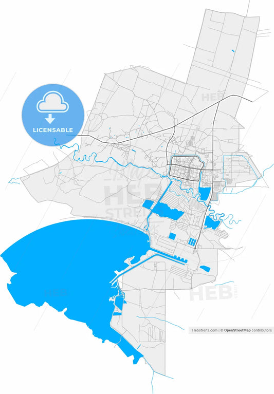 Netishyn, Khmelnytskyi Oblast, Ukraine, high resolution vector map - Instant download PDF and JPG