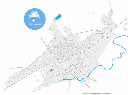 Sambir, Lviv Oblast, Ukraine, high resolution vector map - Instant download PDF and JPG