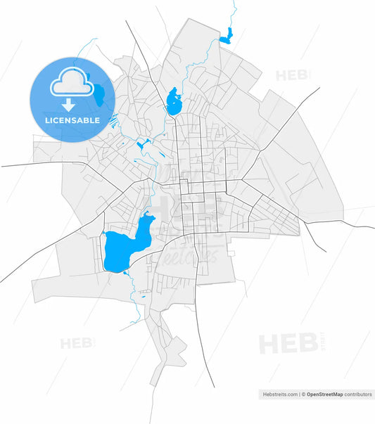 Hlukhiv, Sumy Oblast, Ukraine, high resolution vector map - Instant download PDF and JPG