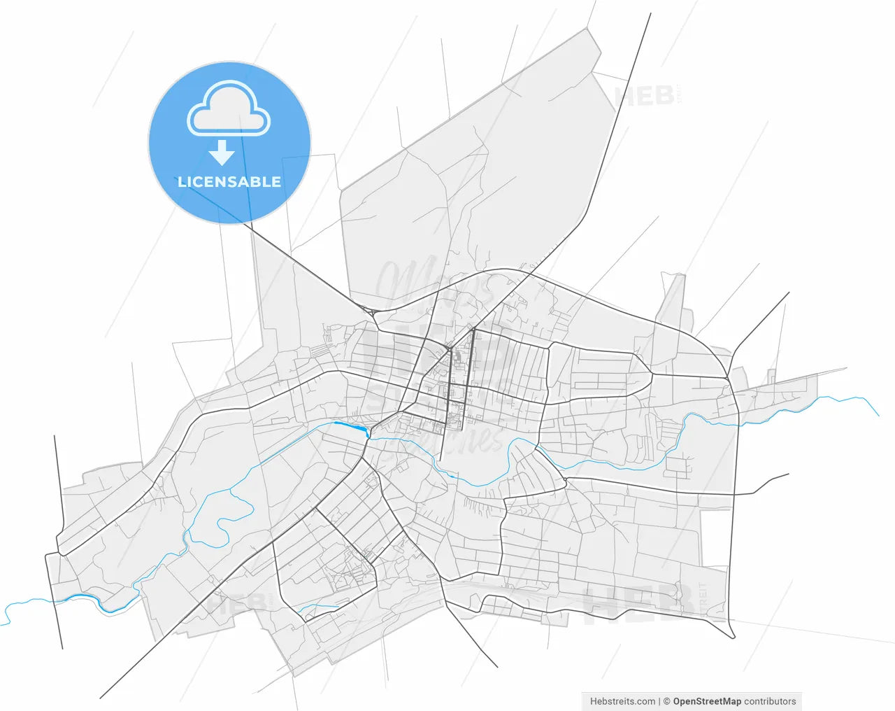 Tokmak, Zaporizhia Oblast, Ukraine, high resolution vector map - Instant download PDF and JPG