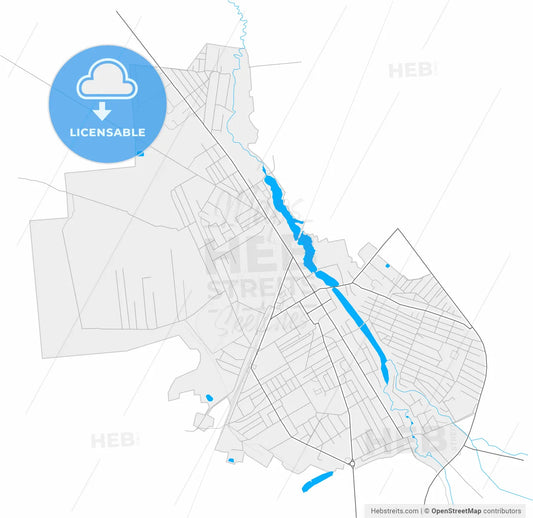 Kostopil, Rivne Oblast, Ukraine, high resolution vector map - Instant download PDF and JPG