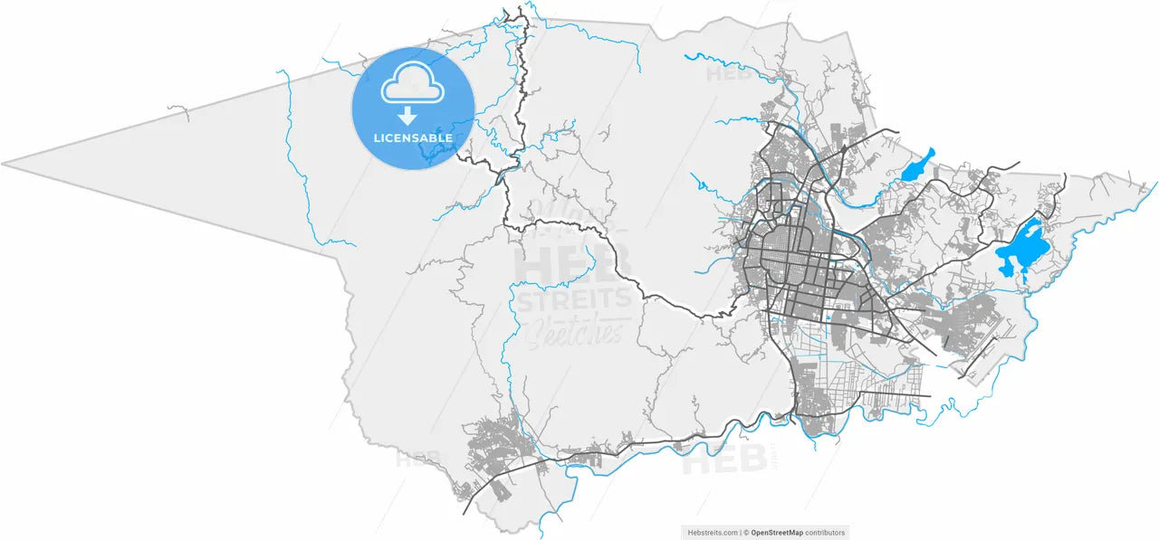 San Pedro Sula, Cortés, Honduras, high resolution vector map - Instant download PDF and JPG