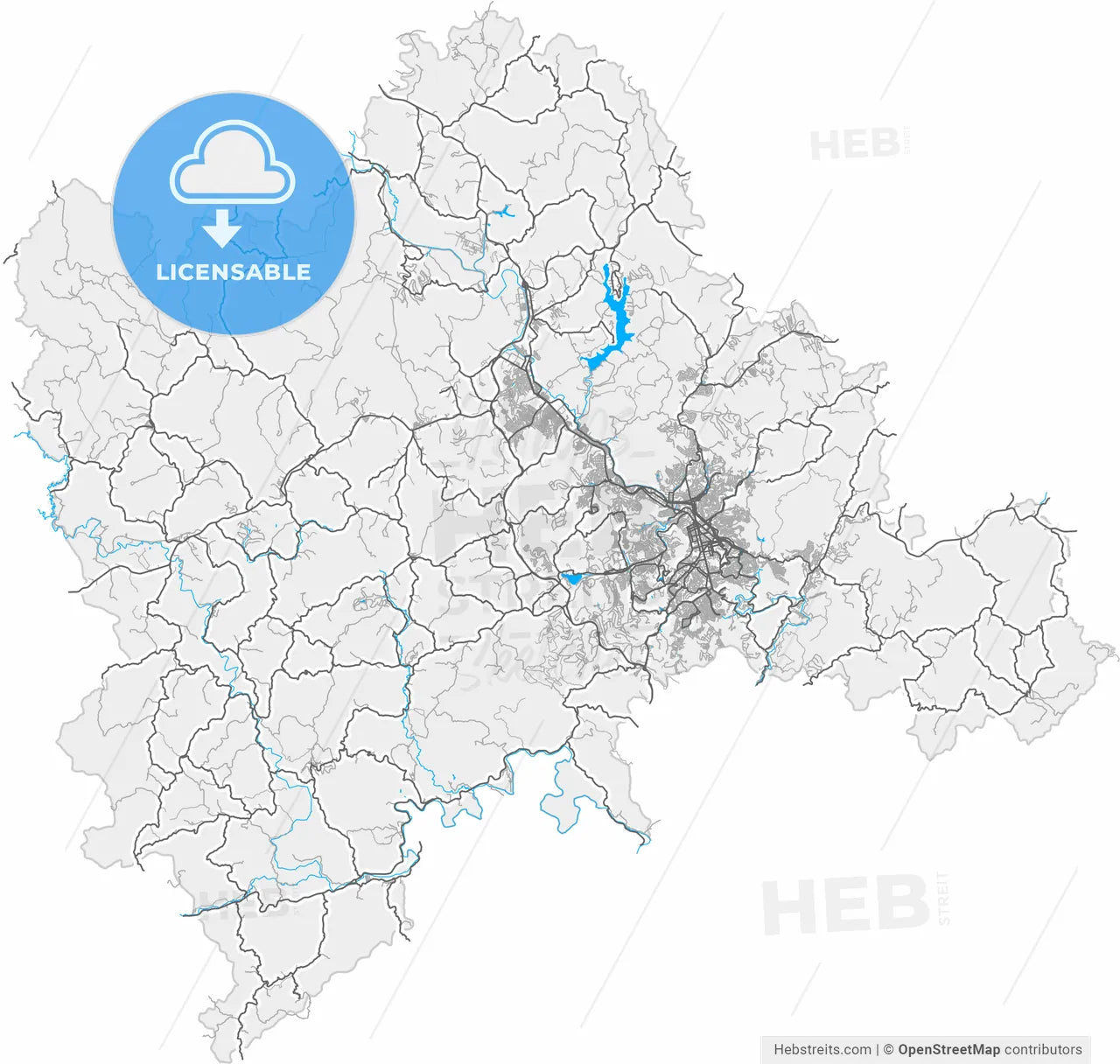 Juiz de Fora, Brazil, high resolution vector map - Instant download PDF and JPG