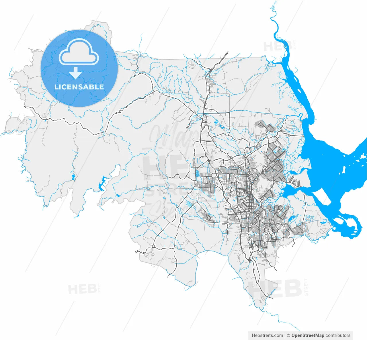 Joinville, Brazil, high resolution vector map - Instant download PDF and JPG