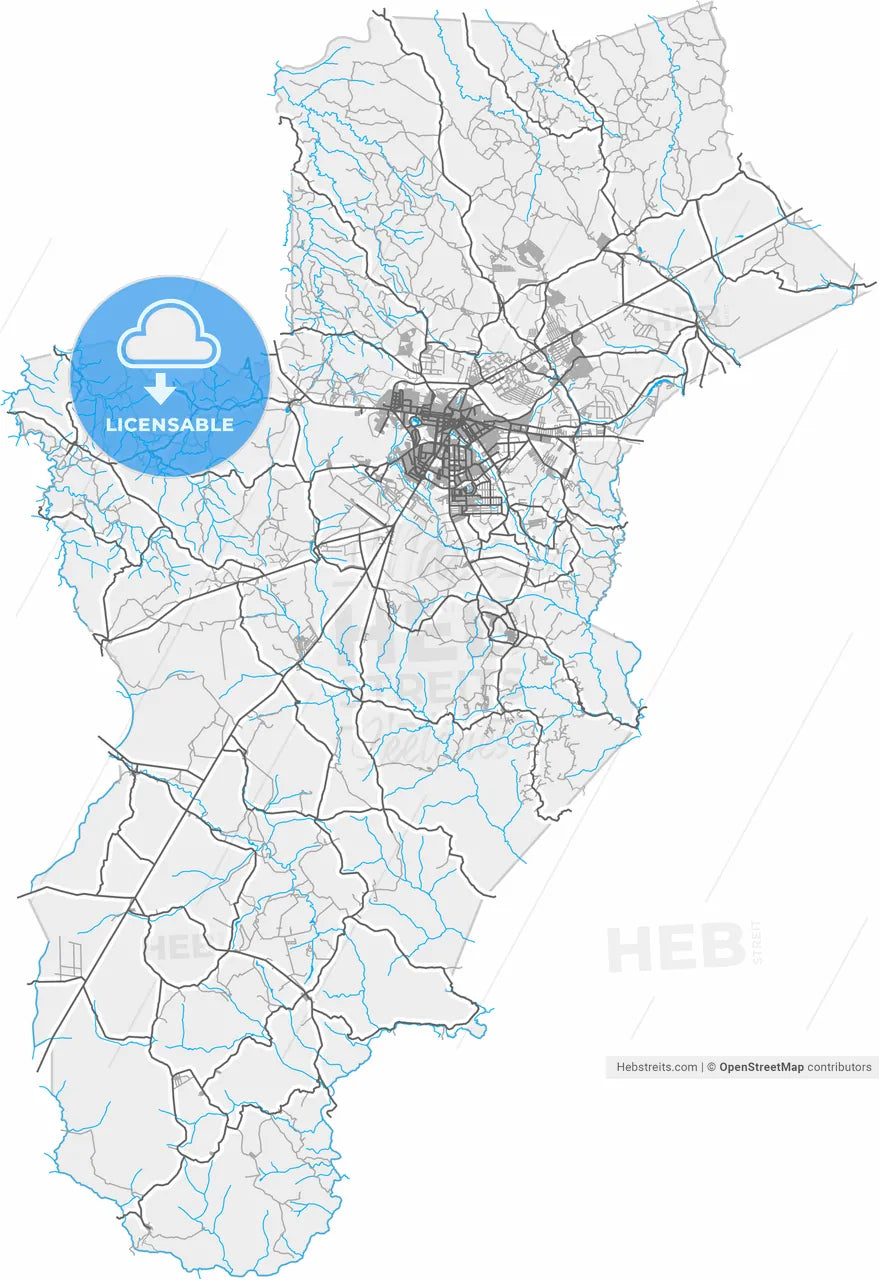 Vitoria da Conquista, Brazil, high resolution vector map - Instant download PDF and JPG