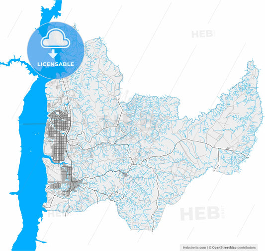Palmas, Brazil, high resolution vector map - Instant download PDF and JPG