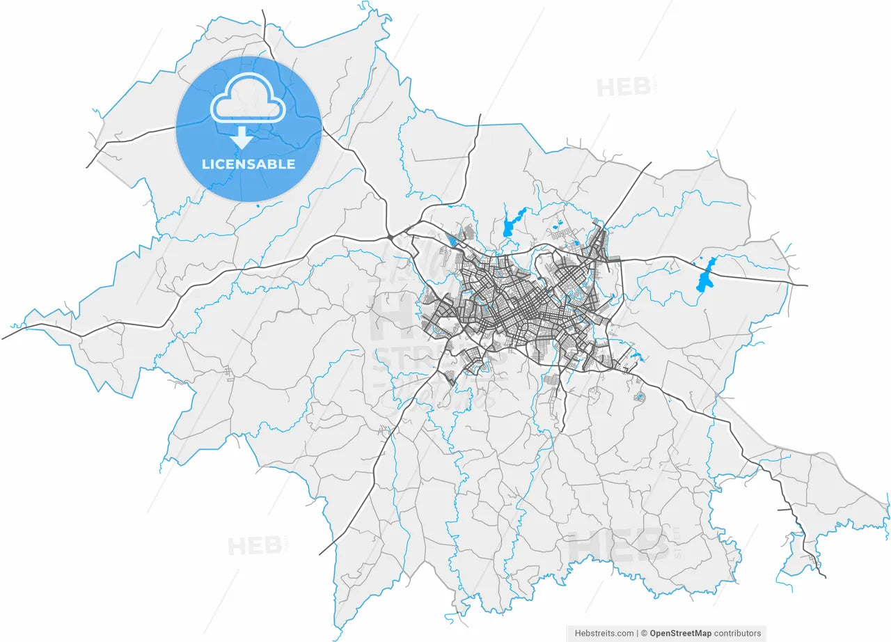 Passo Fundo, Brazil, high resolution vector map - Instant download PDF and JPG