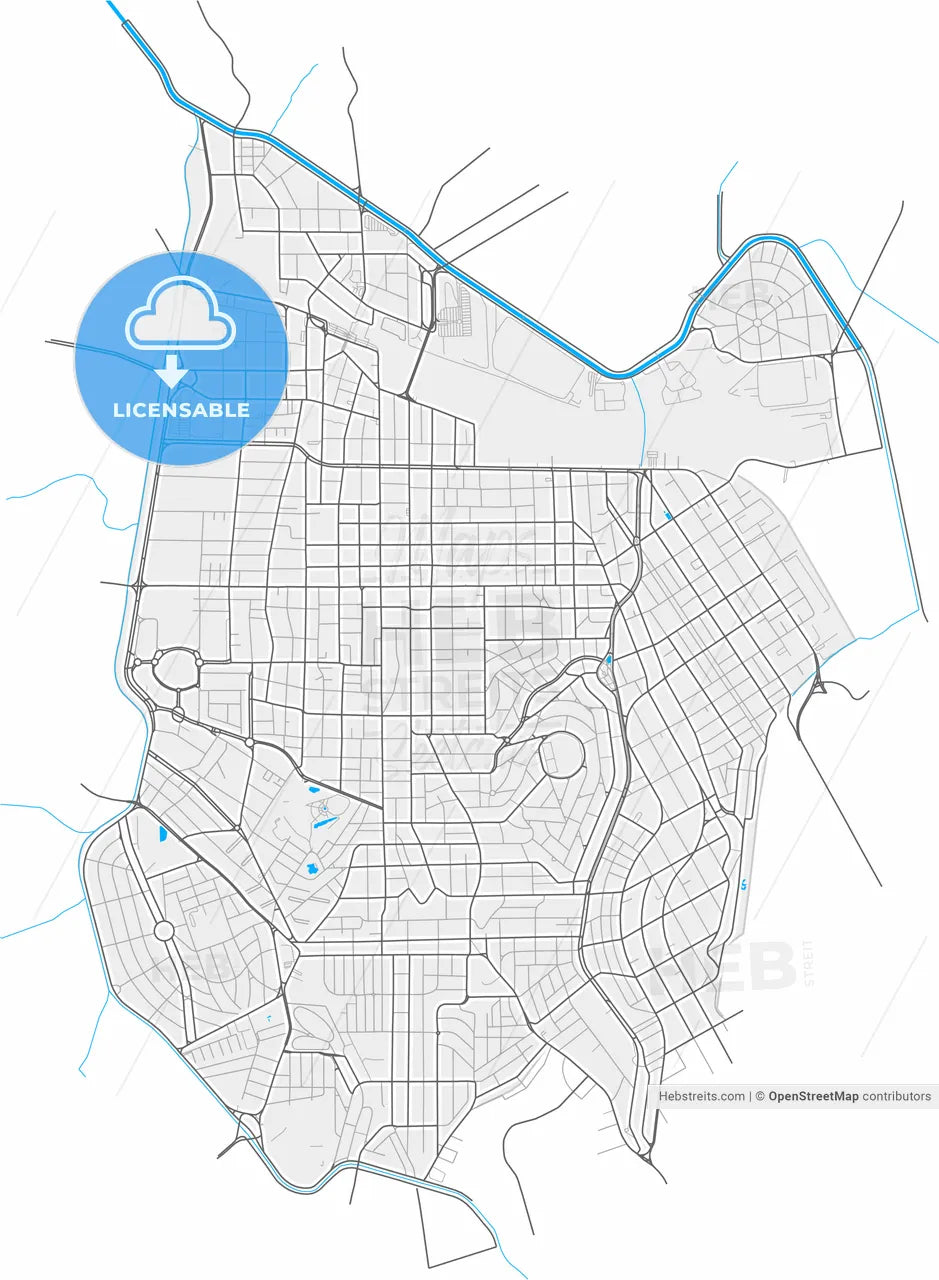 Sao Caetano do Sul, Brazil, high resolution vector map - Instant download PDF and JPG