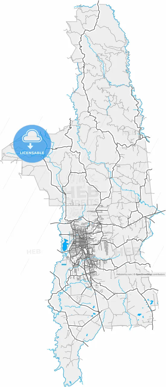 Santa Cruz do Sul, Brazil, high resolution vector map - Instant download PDF and JPG
